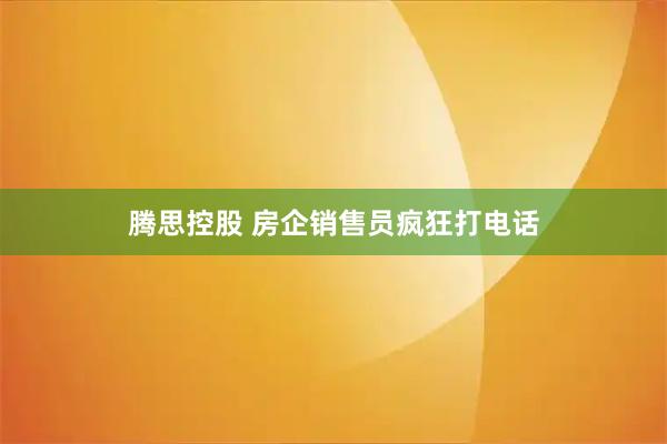 腾思控股 房企销售员疯狂打电话