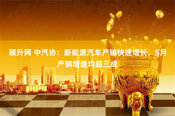 顺升网 中汽协：新能源汽车产销快速增长，5月产销增速均超三成