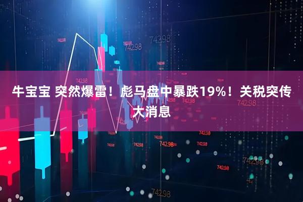 牛宝宝 突然爆雷！彪马盘中暴跌19%！关税突传大消息
